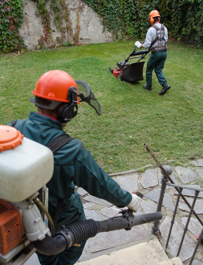 Tonte d'un jardin - prestation réalisée par Astrhalor en Lozère